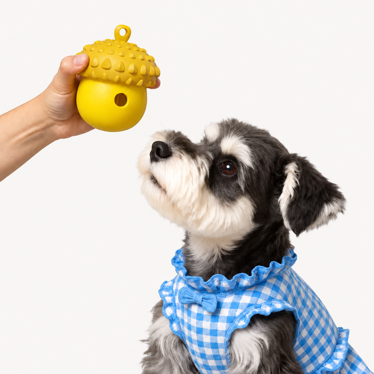 Acorn Treat-Dispensing Dog Toy