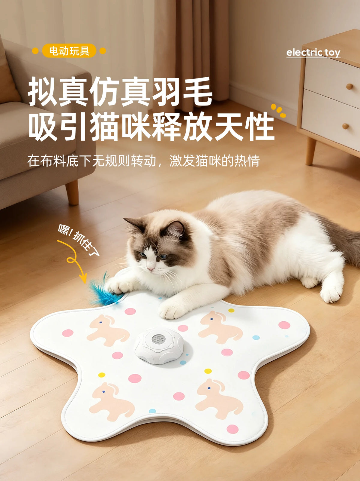 Cat lying next to a star-shaped hunting mat with blue feathers