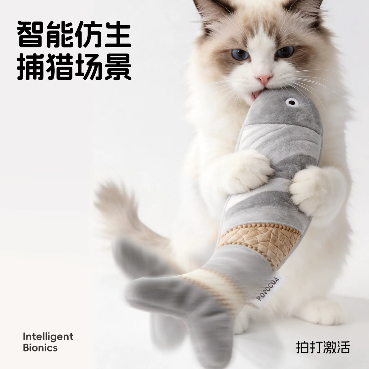 Cat kicking the fish toy